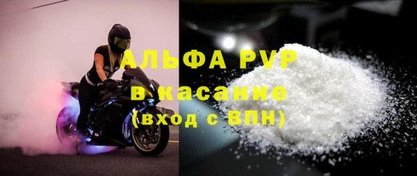 СК Бронницы