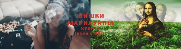 mix Бородино