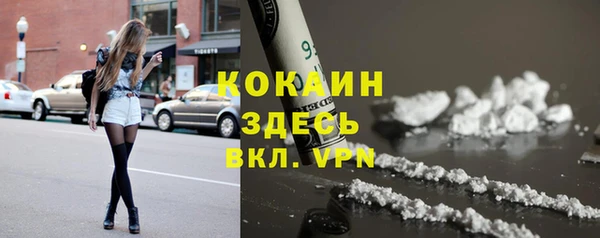 mix Бородино