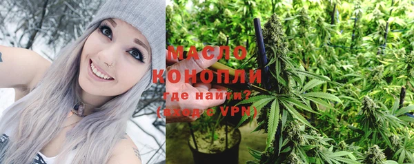 mix Бородино