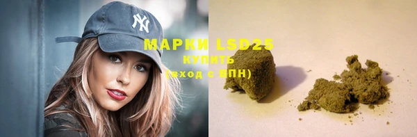 СК Бронницы