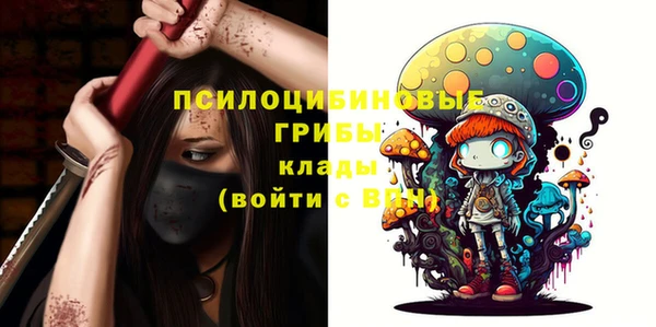 mix Бородино