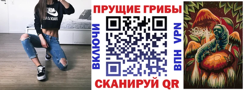Галлюциногенные грибы MAGIC MUSHROOMS  Мещовск 